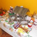 Dscn5265