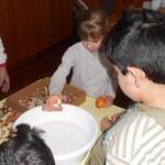 Dscn5272