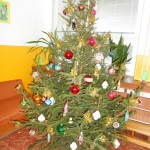 Dscn5349 e1481894082918