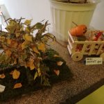 Img 20171025 111158